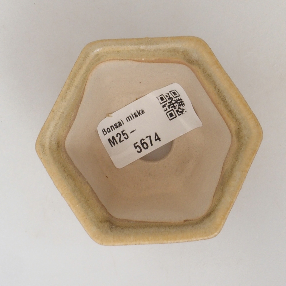 Ciotola per mini bonsai 7 x 7 x 5 cm, marrone