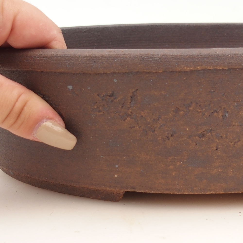 Ciotola per bonsai 32 x 24,5 x 8 cm , colore marrone