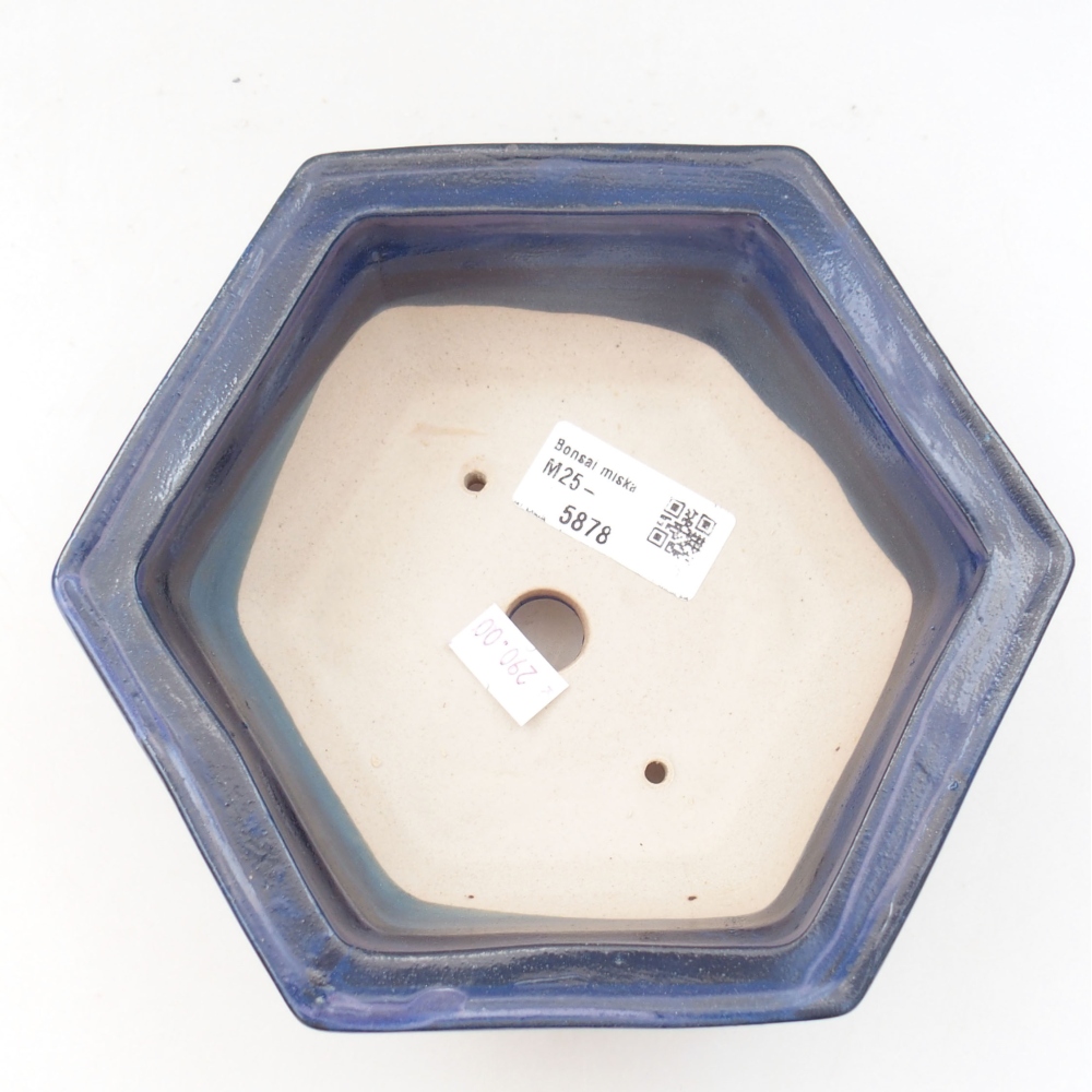 Ciotola bonsai in ceramica 22 x 17 x 5 cm, verde