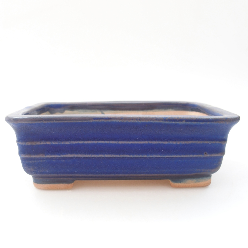 Ciotola bonsai in ceramica 13,5 x 9,5 x 4,5 cm, colore blu