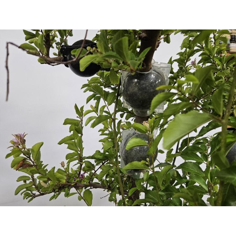 Palla infuocata 8 cm trasparente 1 pz