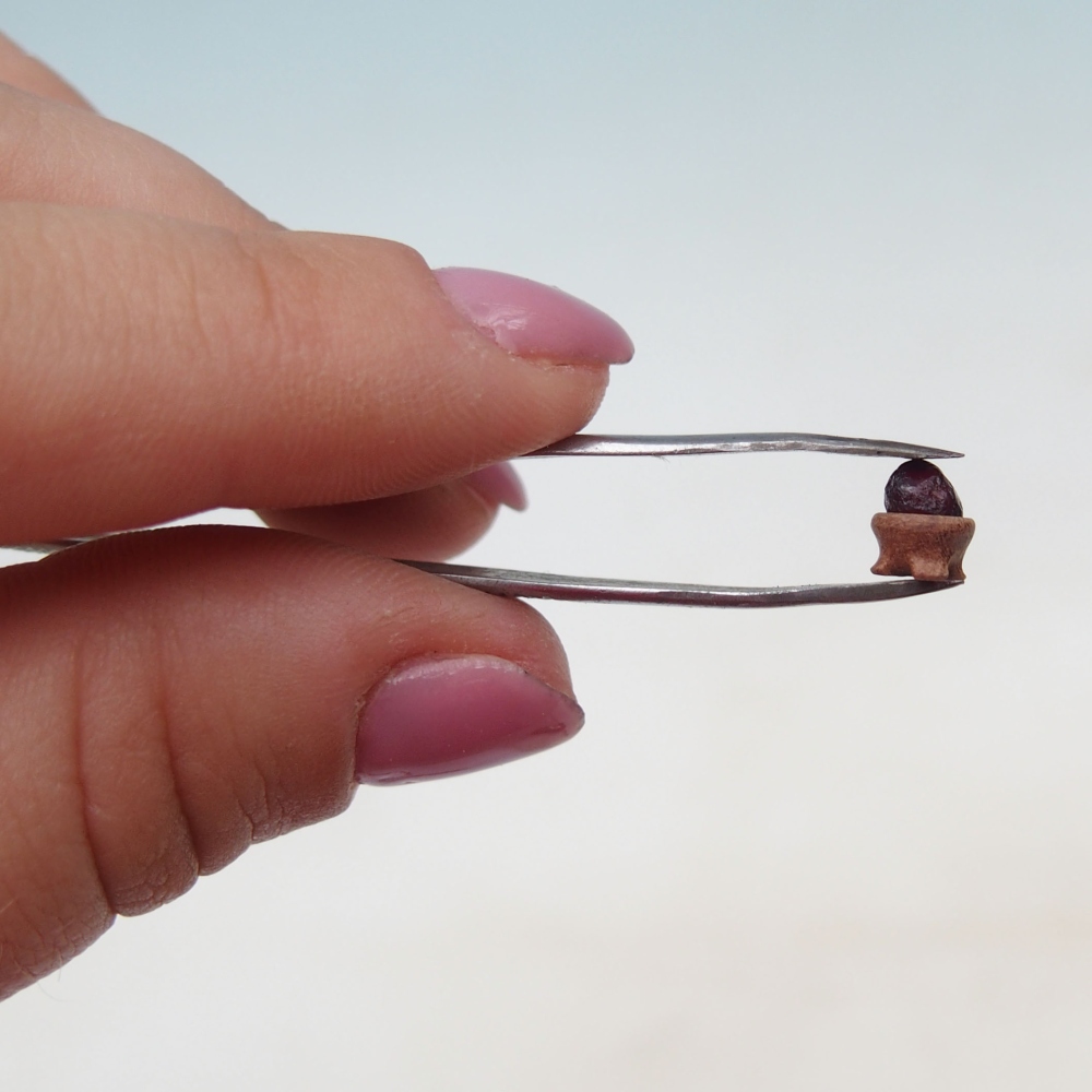 Suiseki - Pietra con DAI (base in legno)