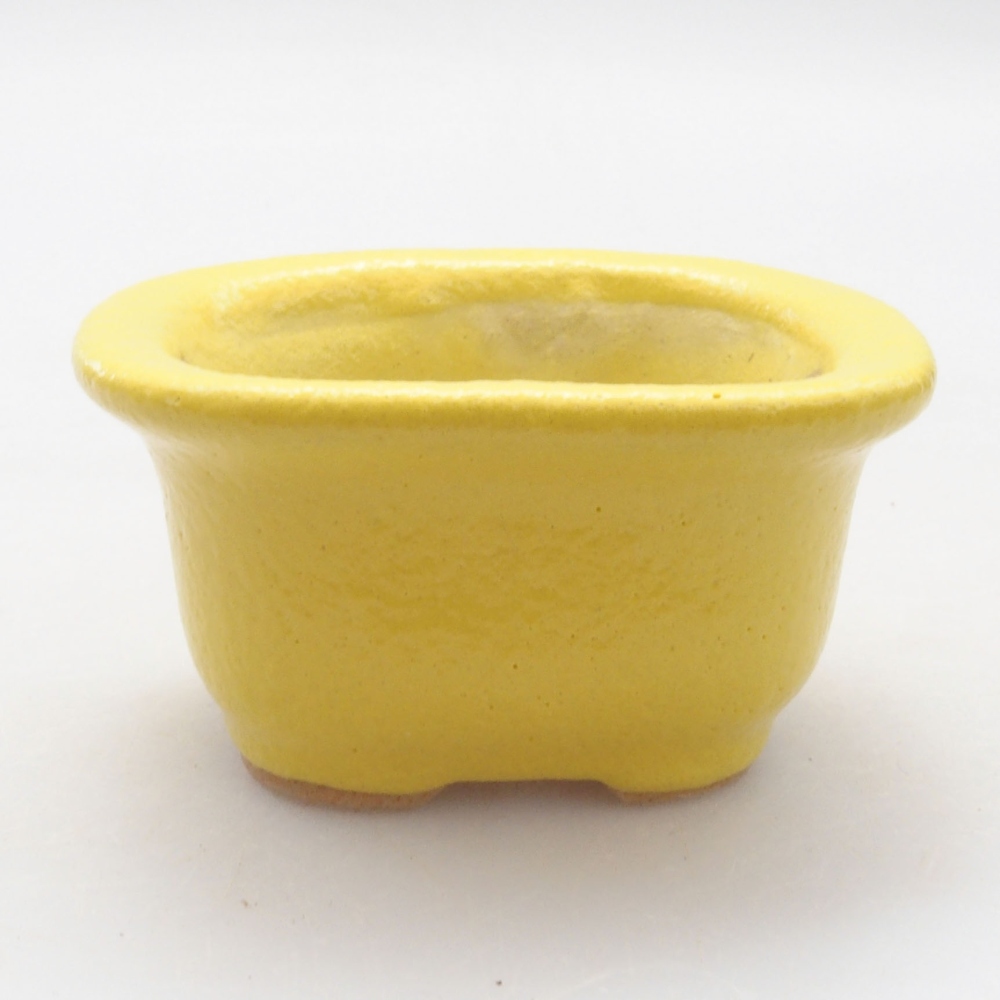 Ciotola bonsai in ceramica 5,5 x 4,5 x 3 cm, giallo