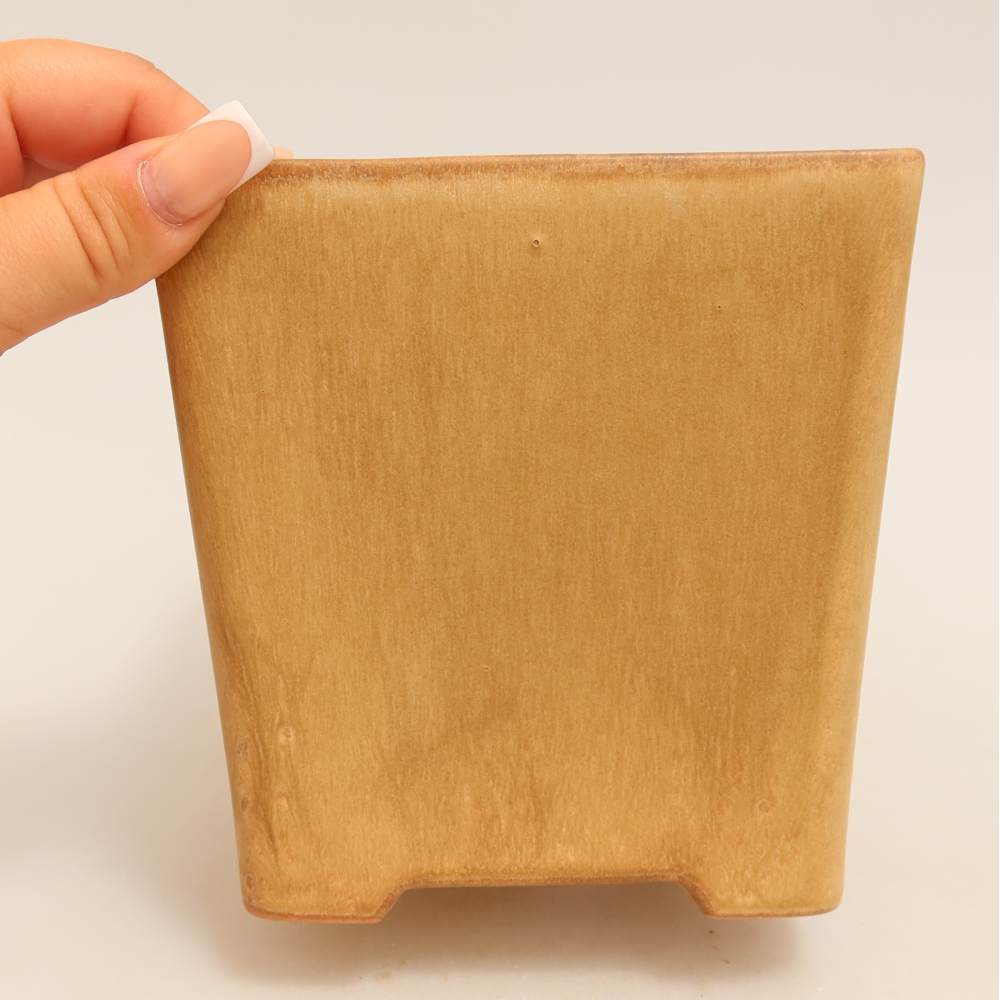 Ciotola bonsai in ceramica 13 x 13 x 13,5 cm, colore beige
