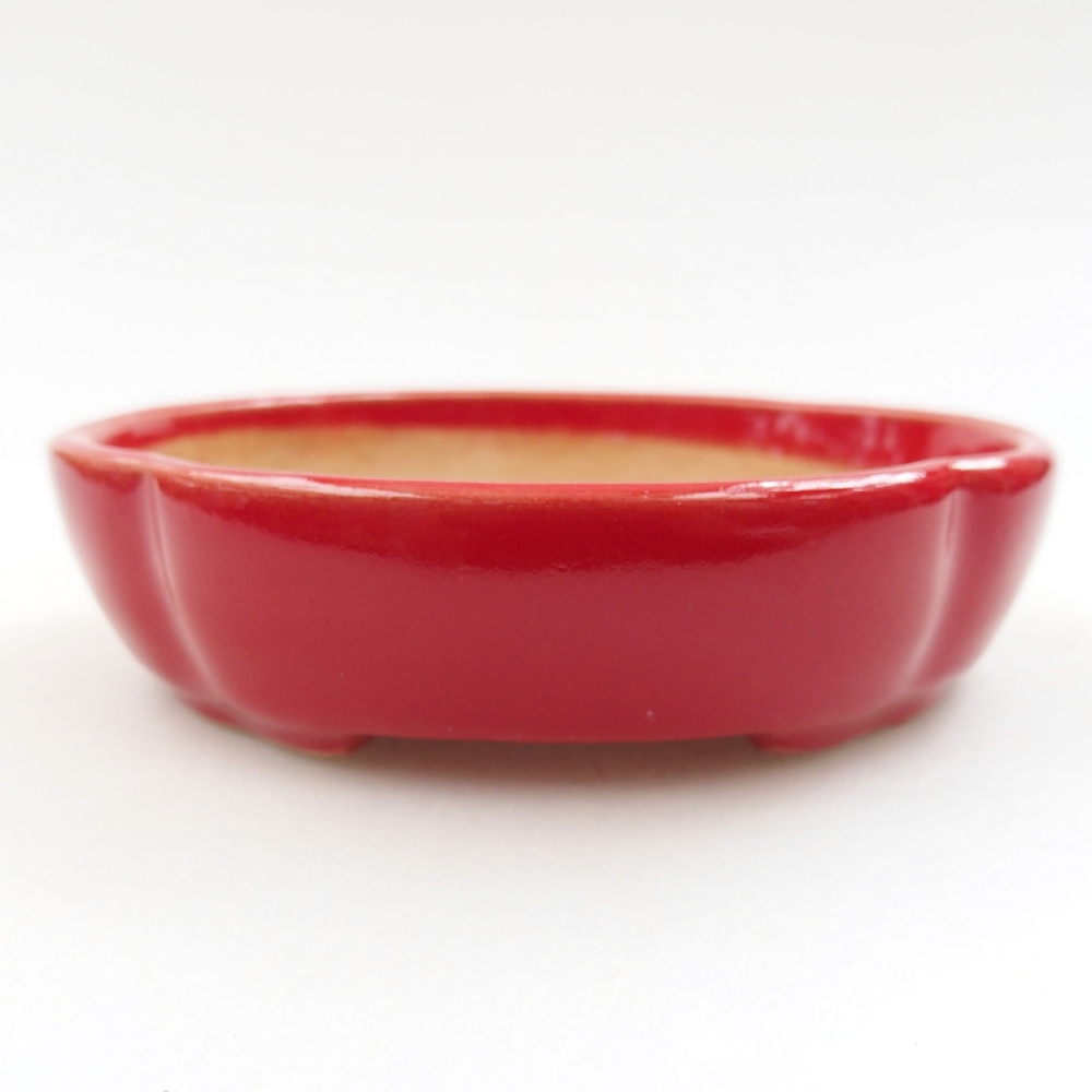 Ciotola bonsai in ceramica 22 x 17 x 5 cm, verde