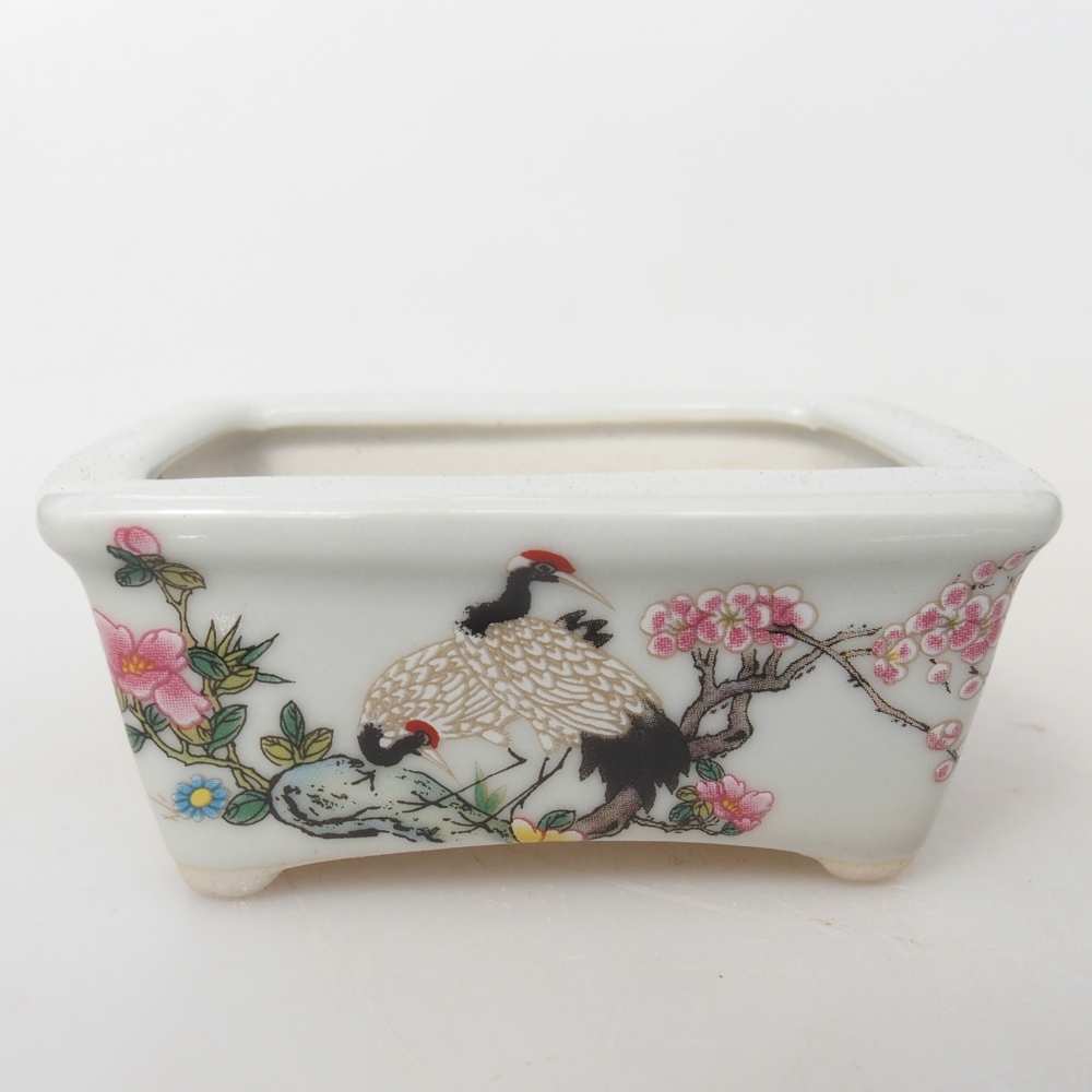 Mini bonsai 8 x 6,5 x 3,5 cm, bianco