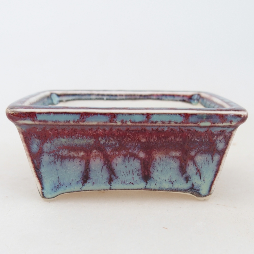 Mini bonsai 7,5 x 6 x 3 cm, bordeaux