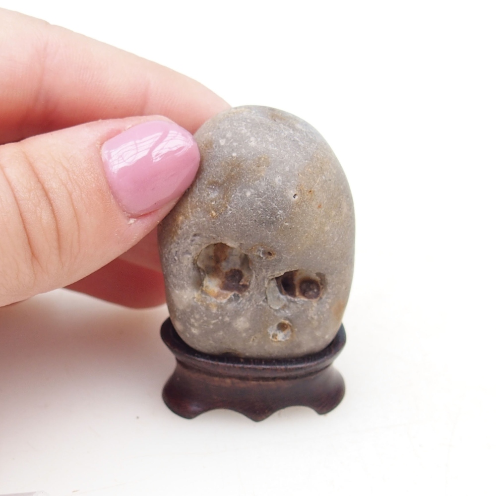 Suiseki - Pietra con DAI (base in legno)