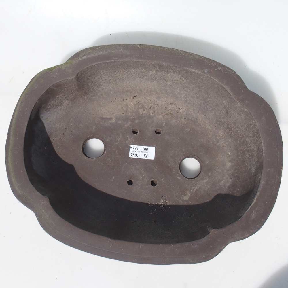 Ciotola per bonsai 40 x 32 x 10,5 cm betulla marrone