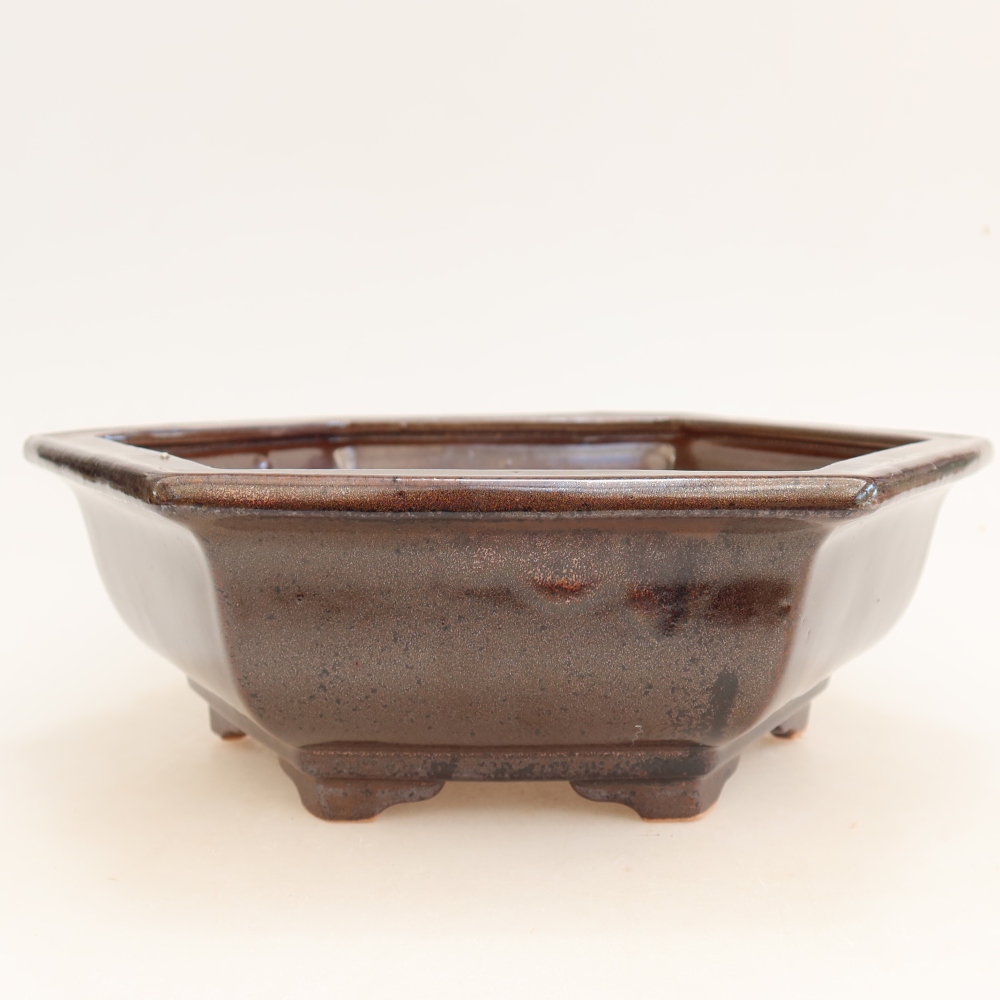 Vaso da bonsai in ceramica 24 x 21,5 x 7,5 cm, colore marrone