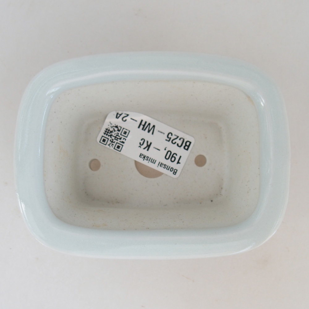 Mini bonsai 10 x 7,5 x 4 cm, colore bianco