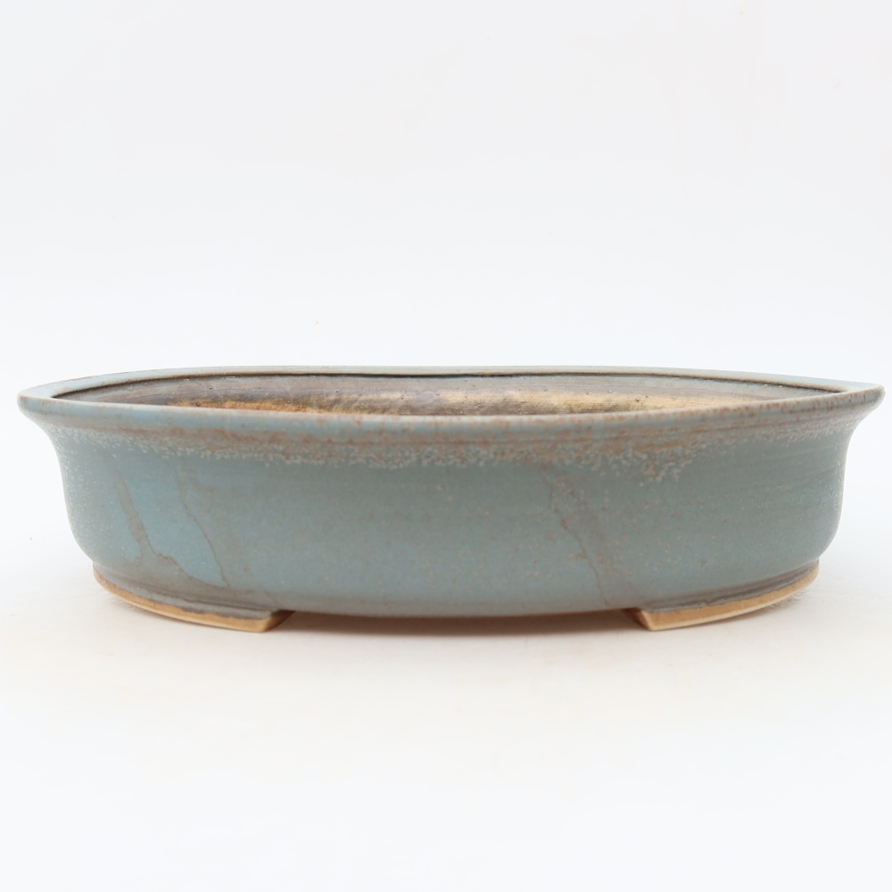 Vaso in ceramica per bonsai 27 x 24 x 5,5 cm, colore blu