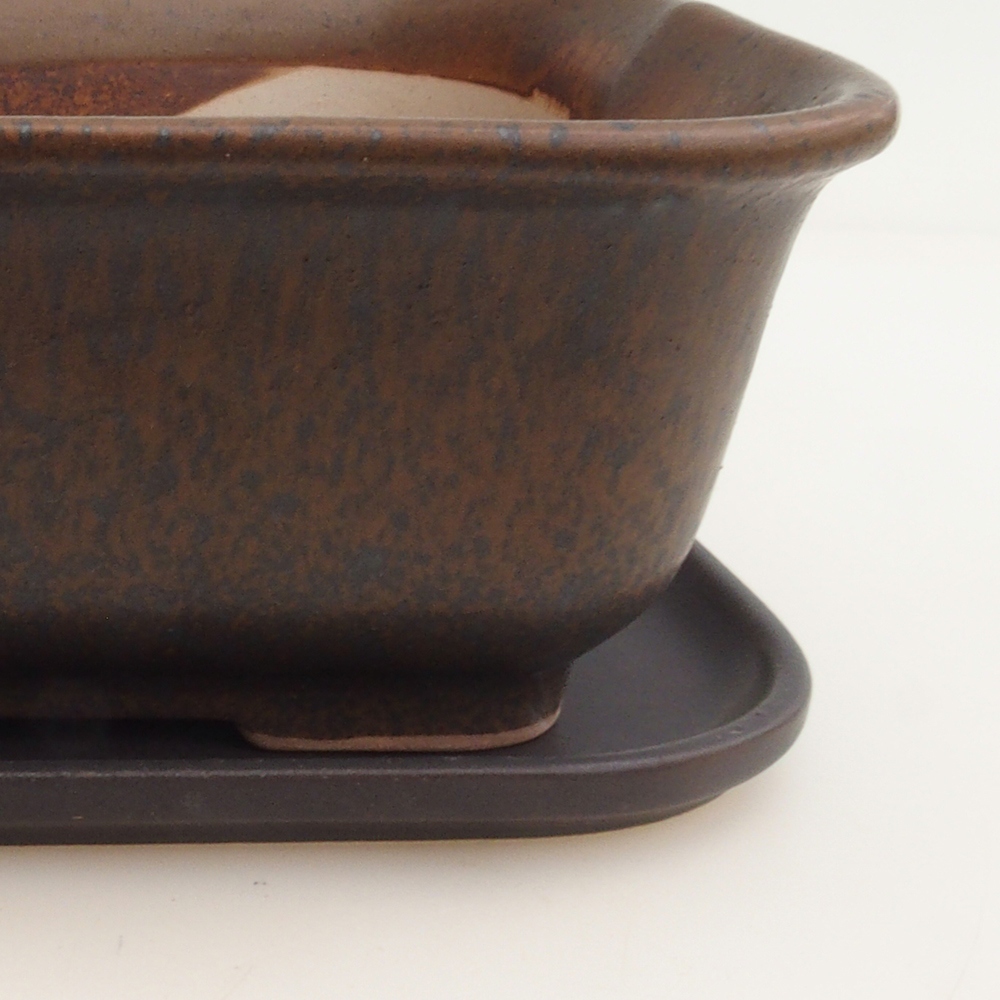 Ciotola bonsai + piattino H36 - 17 x 15 x 7,5 cm - marrone