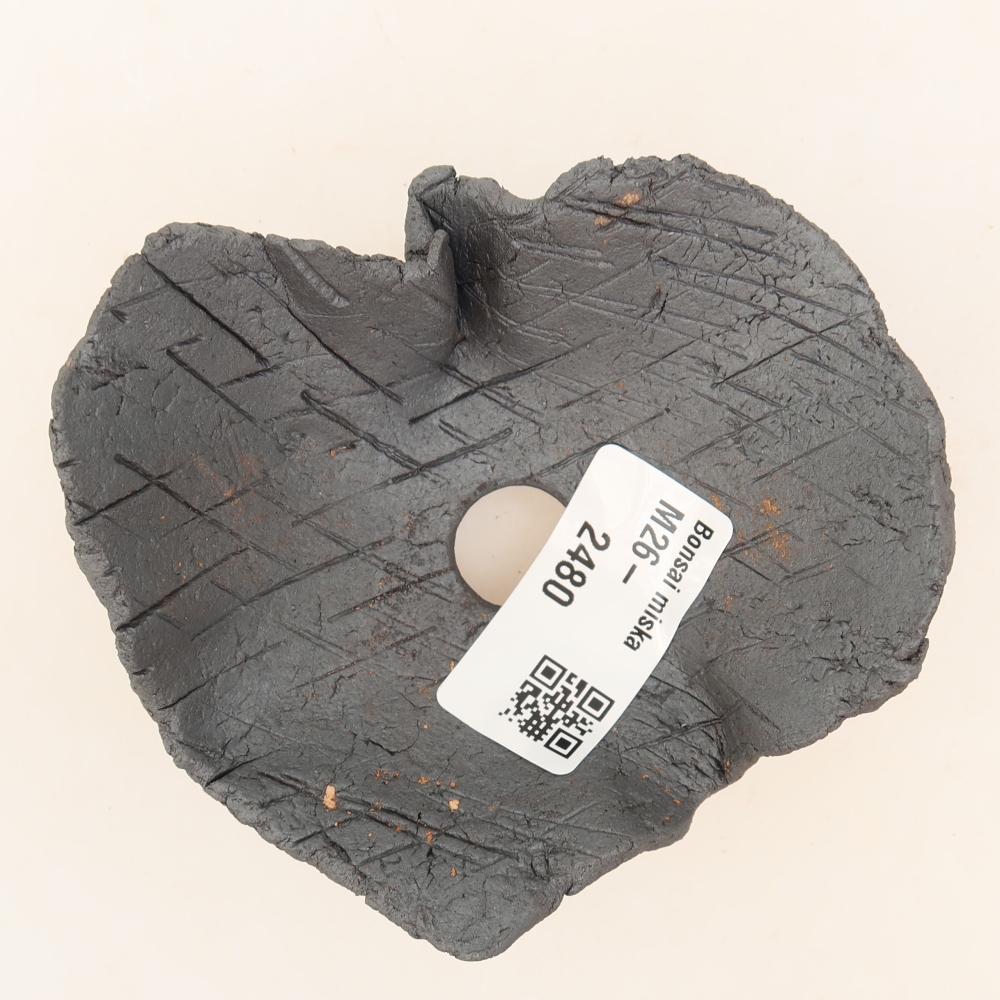 Guscio in ceramica  9 x 9 x 5 cm, colore metallizzato
