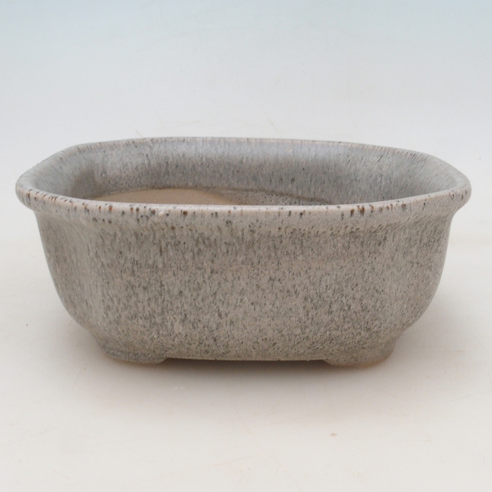 Ciotola bonsai + piattino H31 - beige