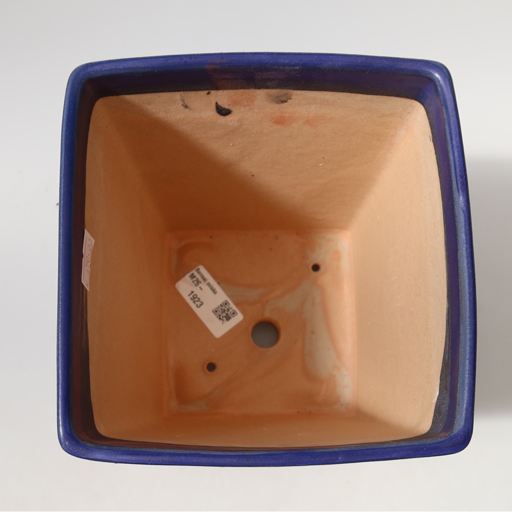 Vaso da bonsai in ceramica 15 x 15 x 19,5 cm, colore blu
