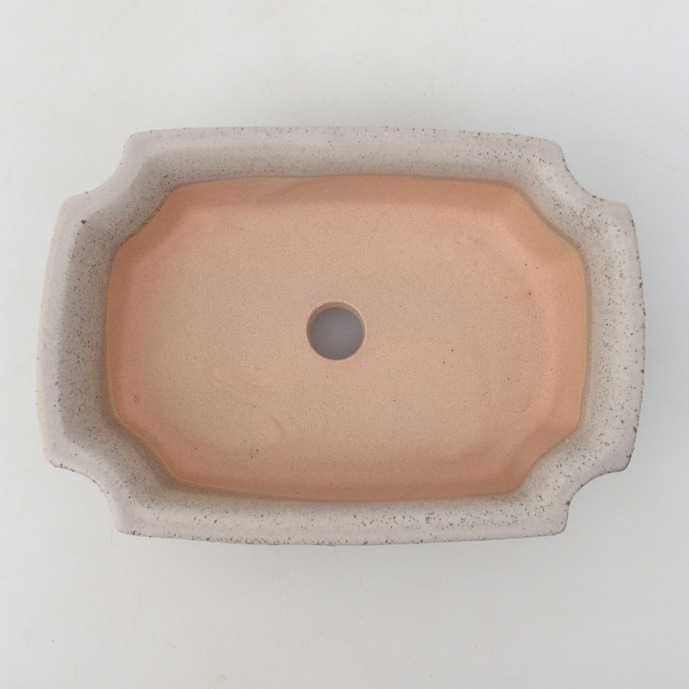 Ciotola per bonsai H17 - 15 x 10 x 4 cm - beige