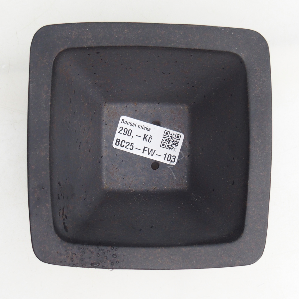 Ciotola per bonsai in ceramica 12 x 12 x 7 cm, colore marrone ocra