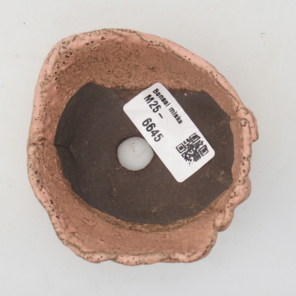 Conchiglia in ceramica 9 x 8 x 4 cm , colore rosa