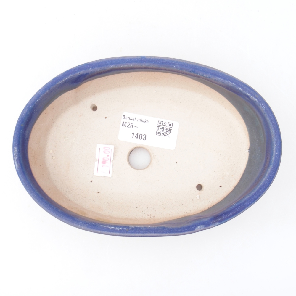 Ciotola bonsai in ceramica 16,5 x 11,5 x 4,5 cm, colore blu