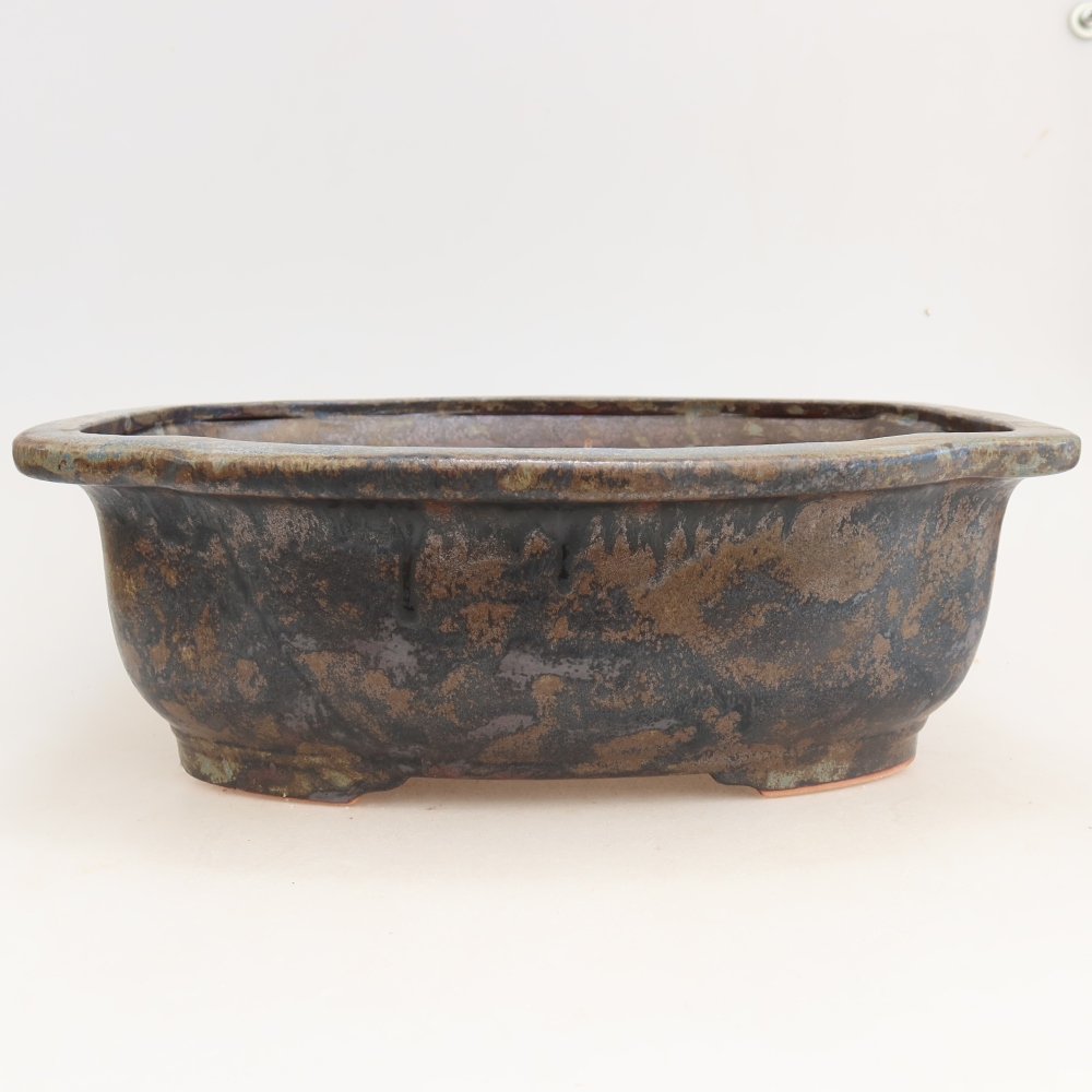 Vaso da bonsai in ceramica 30,5 x 25,5 x 10,5 cm, colore marrone-blu