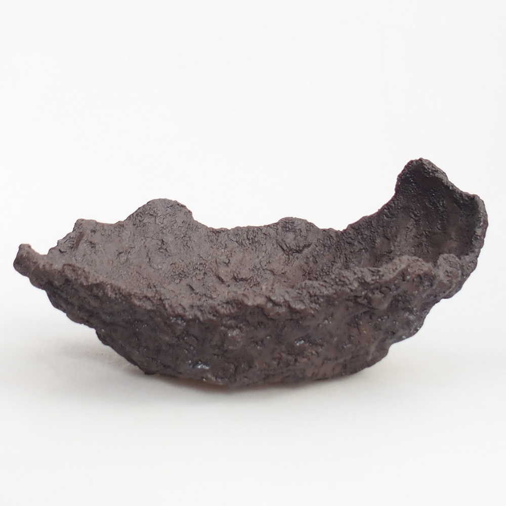 Conchiglia in ceramica 25 x 19 x 12 cm , colore marrone