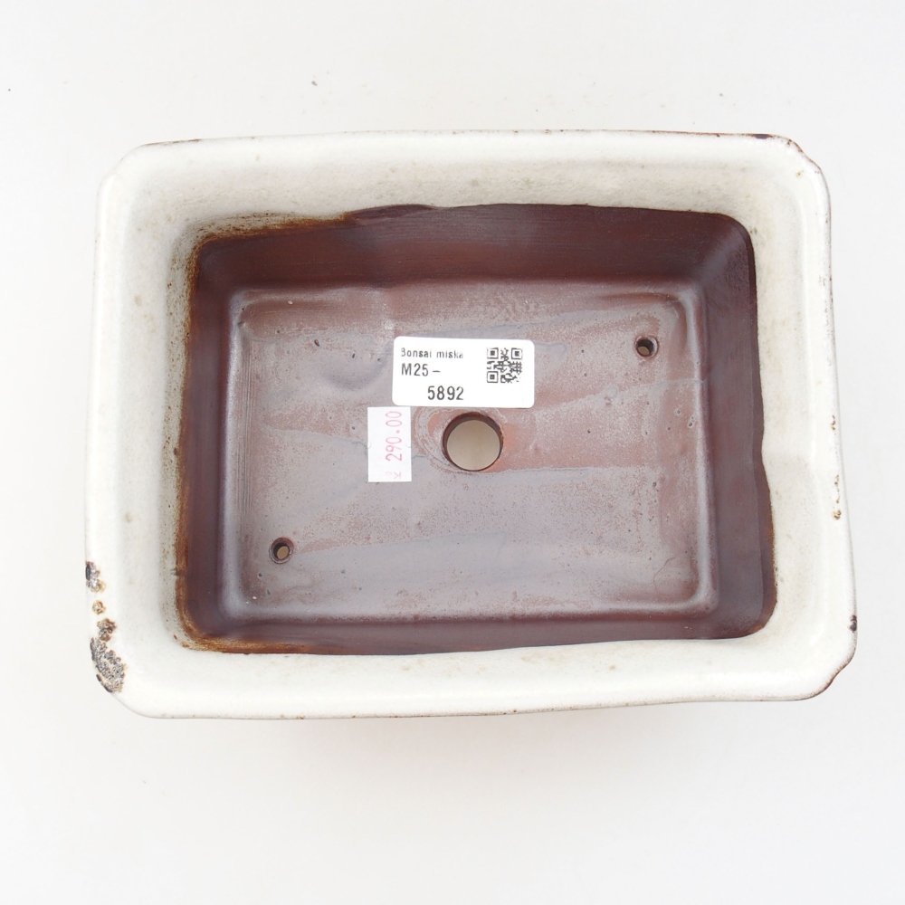 Ciotola bonsai in ceramica 22 x 17 x 5 cm, verde