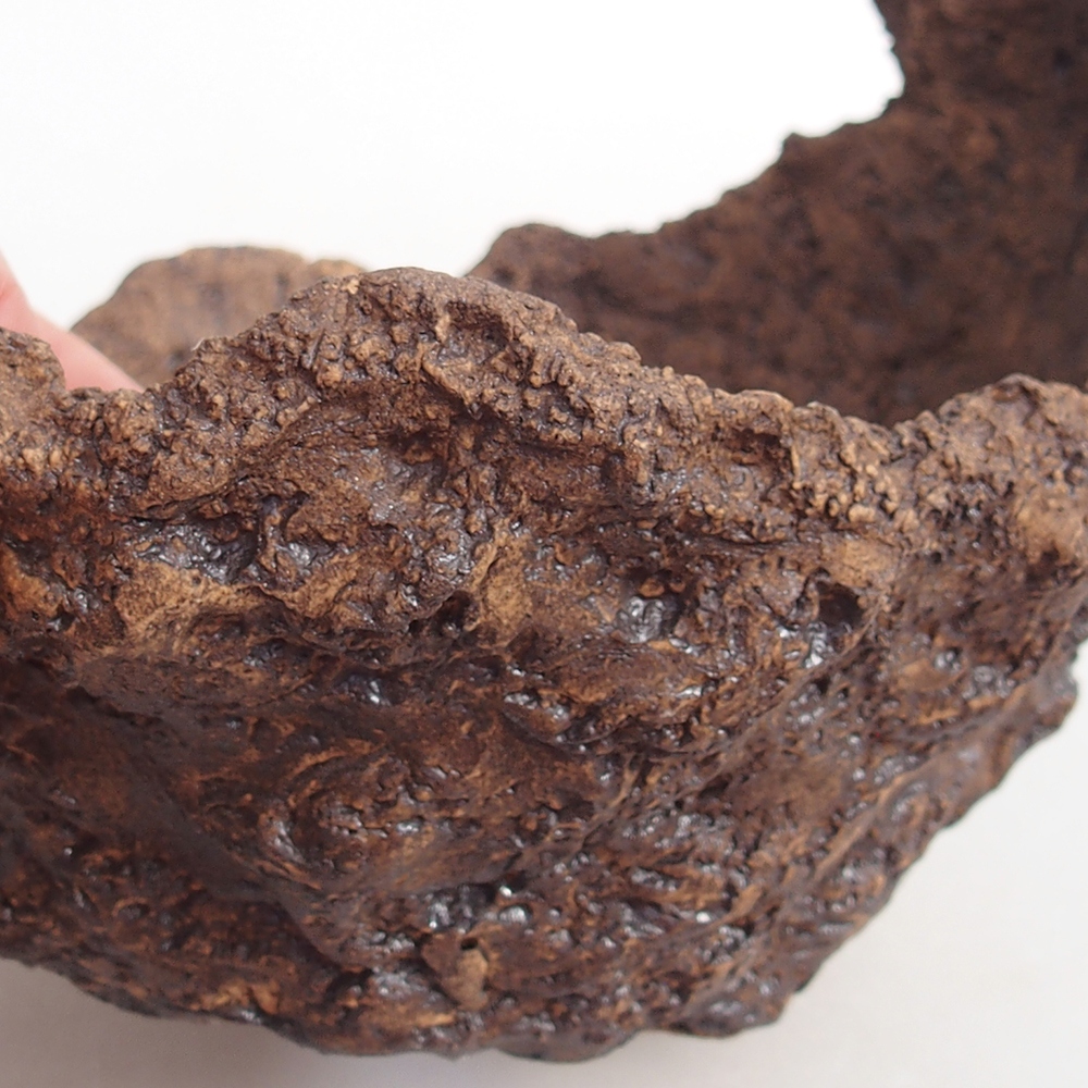 Conchiglia in ceramica 14 x 13 x 12 cm , colore marrone