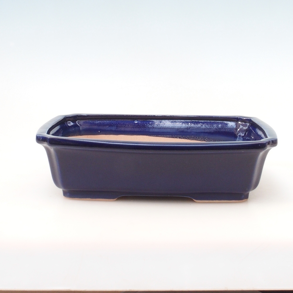 Ciotola bonsai + piattino H07 - 30 x 20,5 x 8 cm - blu