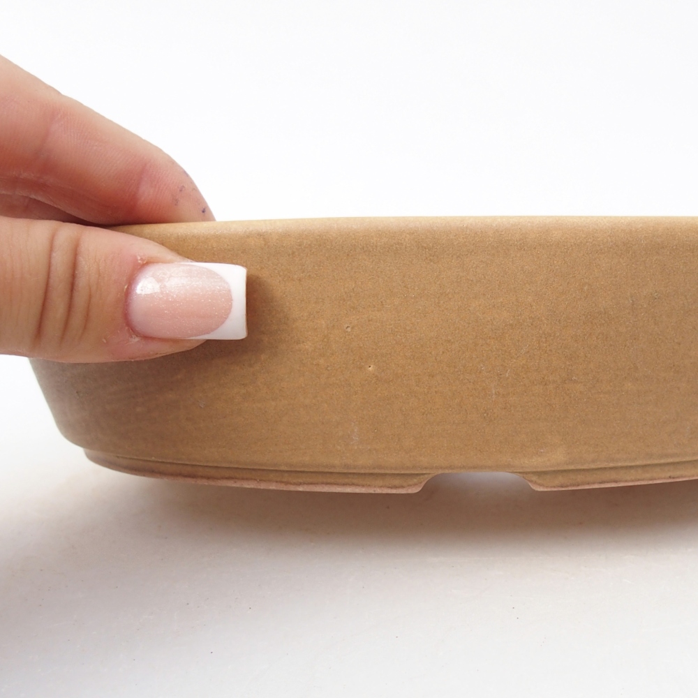 Ciotola bonsai in ceramica 18,5 x 13,5 x 4,5 cm, colore beige