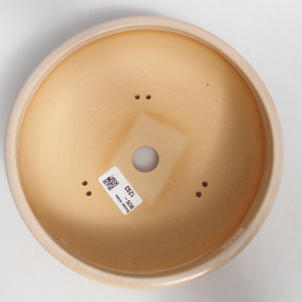 Ciotola bonsai in ceramica 21 x 21 x 7 cm, colore beige