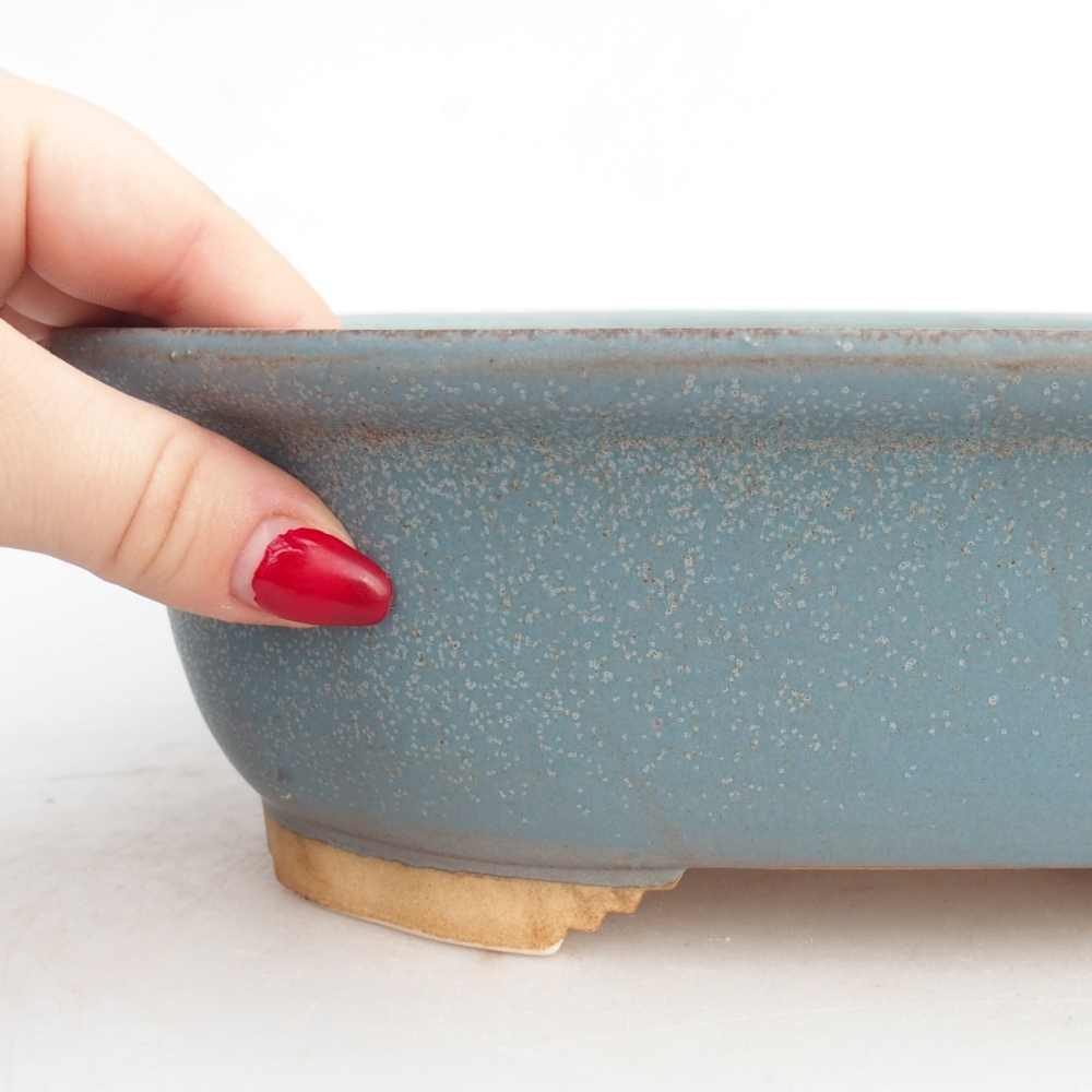 Ciotola per bonsai in ceramica 25,5 x 21,5 x 8 cm, colore blu