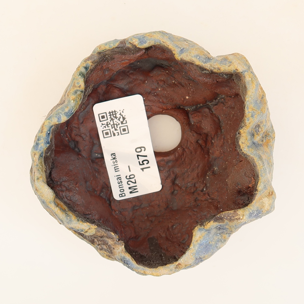 Guscio in ceramica  7,5 x 7 x 5,5 cm, colore blu