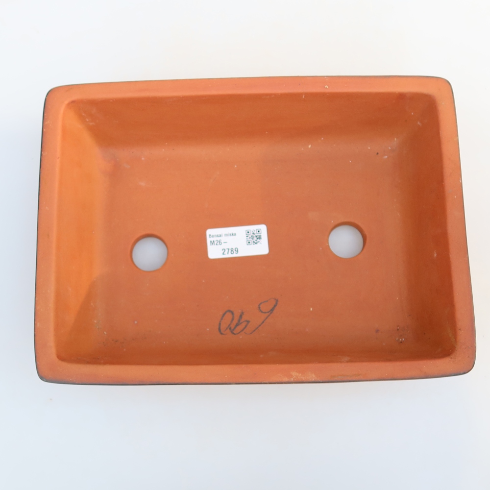 Ciotola in ceramica  25,5 x 19 x 7 cm, colore mattone