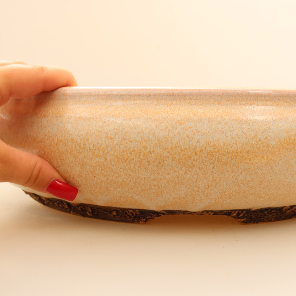 Vaso per bonsai in ceramica 36,5 x 36,5 x 9,5 cm, colore beige - SOLO RITIRO IN NEGOZIO o spedizione su pallet