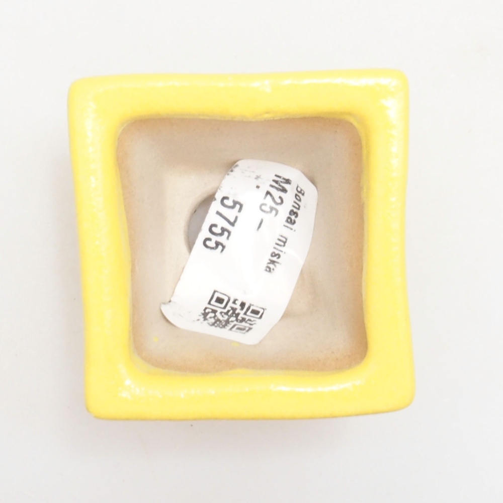 Ciotola bonsai in ceramica 5 x 5 x 3,5 cm, giallo