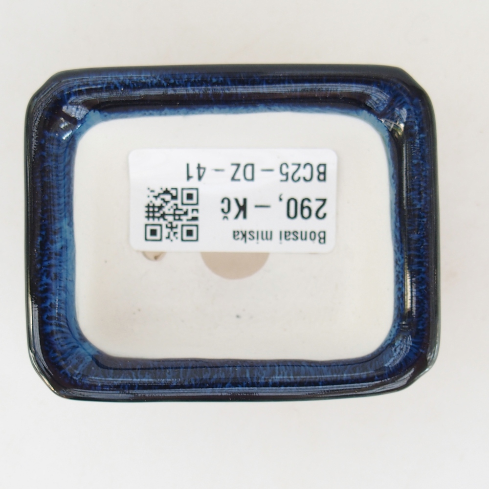 Mini bonsai 7 x 5,5 x 3 cm, colore blu