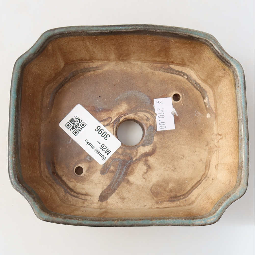 Vaso da bonsai in ceramica 14 x 11,5 x 4,5 cm, colore verde
