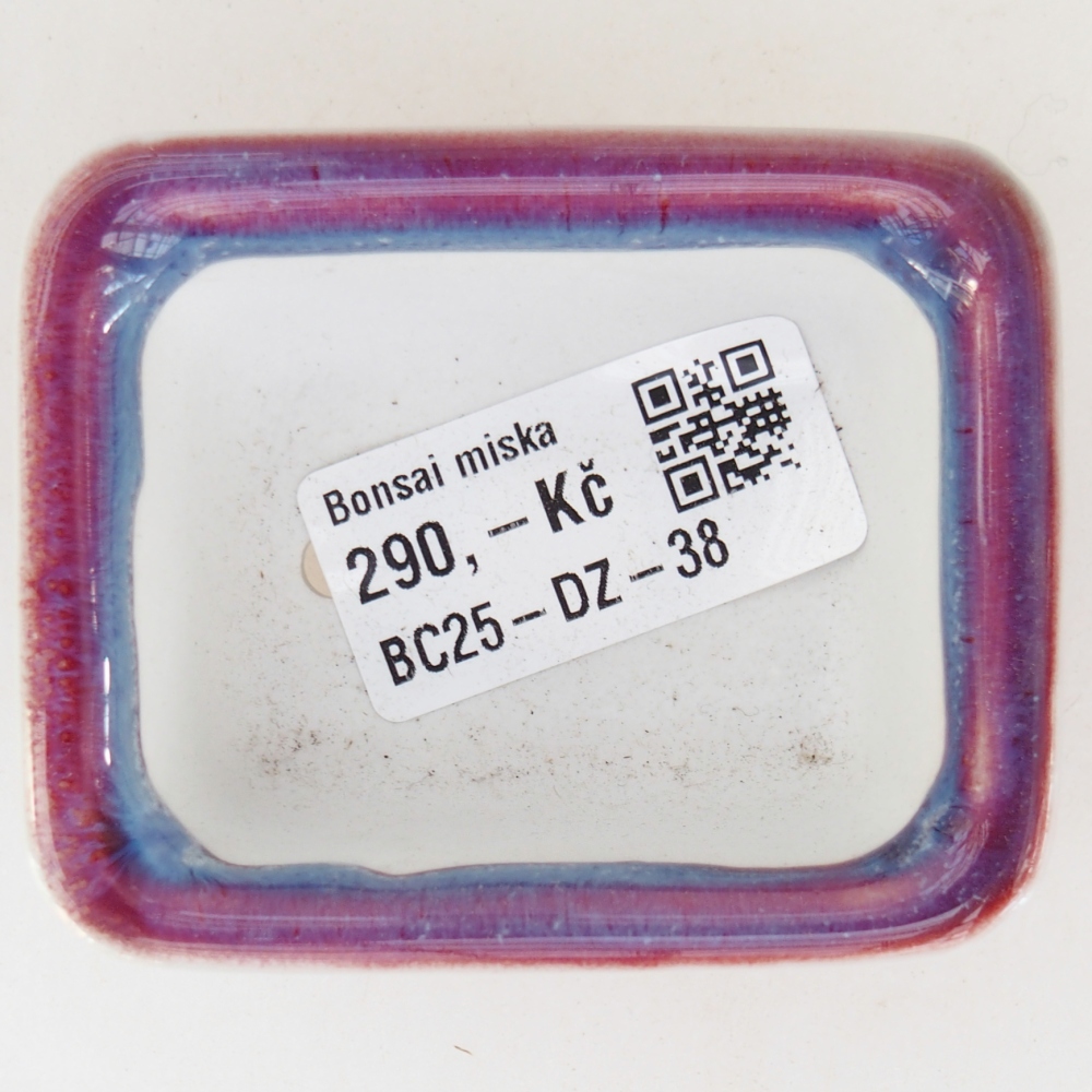 Mini bonsai 7 x 5,5 x 3 cm, colore viola