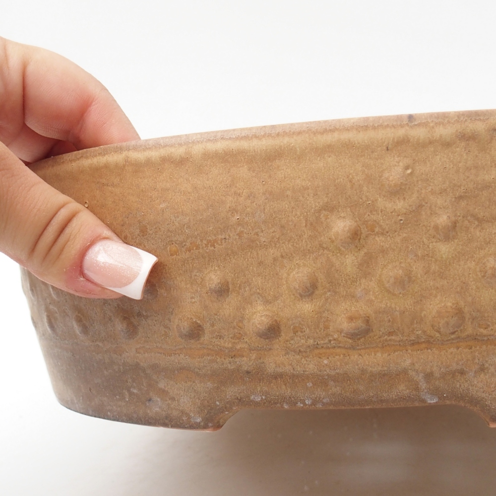 Ciotola per bonsai in ceramica 24,5 x 24,5 x 7 cm, colore beige
