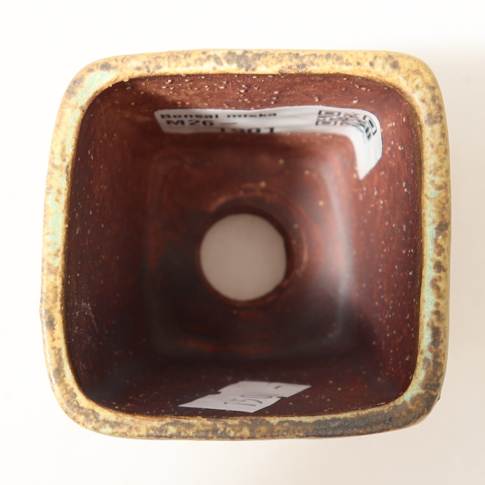 Ciotola bonsai in ceramica 5 x 5 x 6,5 cm, verde