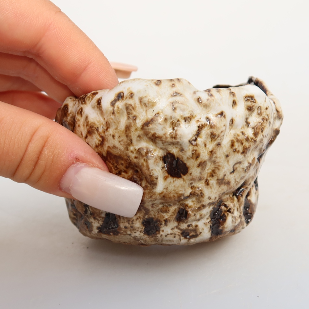Guscio in ceramica  7,5 x 7,5 x 5 cm, colore bianco-marrone