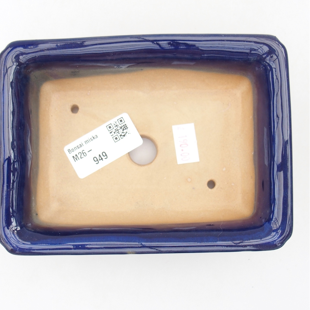 Ciotola bonsai in ceramica 13,5 x 10 x 4 cm, colore blu