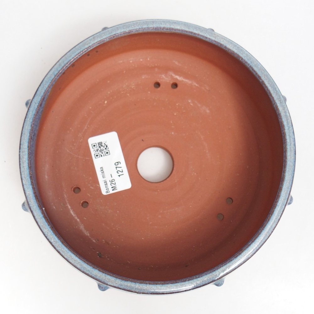 Ciotola bonsai in ceramica 17 x 17 x 5,5 cm, colore blu