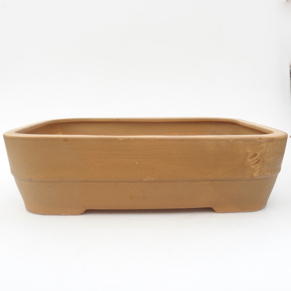 Ciotola bonsai in ceramica 27,5 x 20,5 x 7,5 cm, colore beige