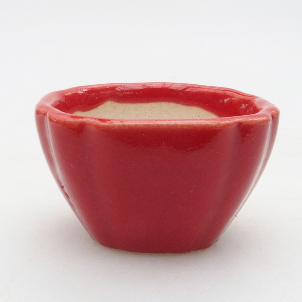 Mini bonsai 4 x 4 x 2,5 cm, colore rosso