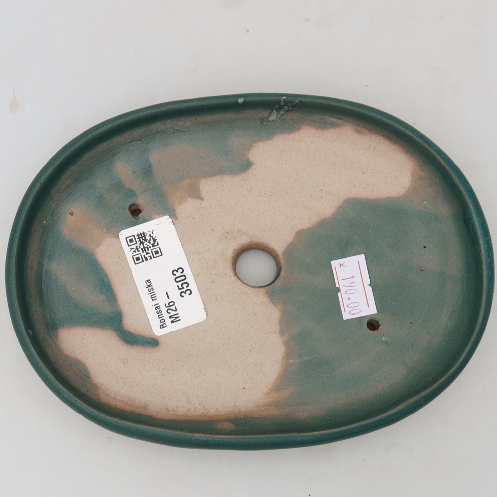 Vaso da bonsai in ceramica 17 x 12 x 2,5 cm, colore blu