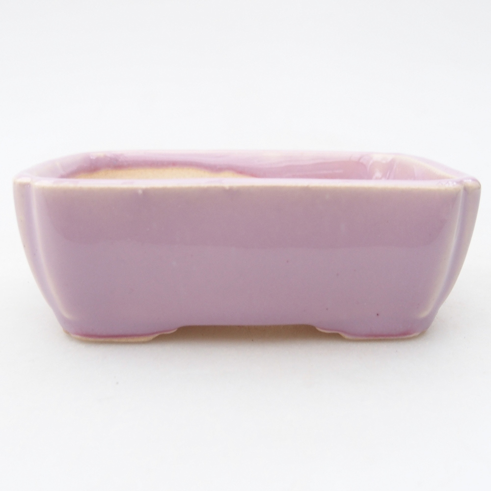 Mini bonsai 8,5 x 7,5 x 3 cm, rosa