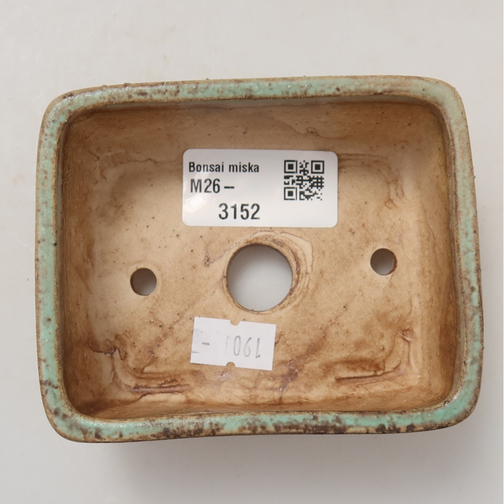 Vaso da bonsai in ceramica 10 x 8 x 3,5 cm, colore verde