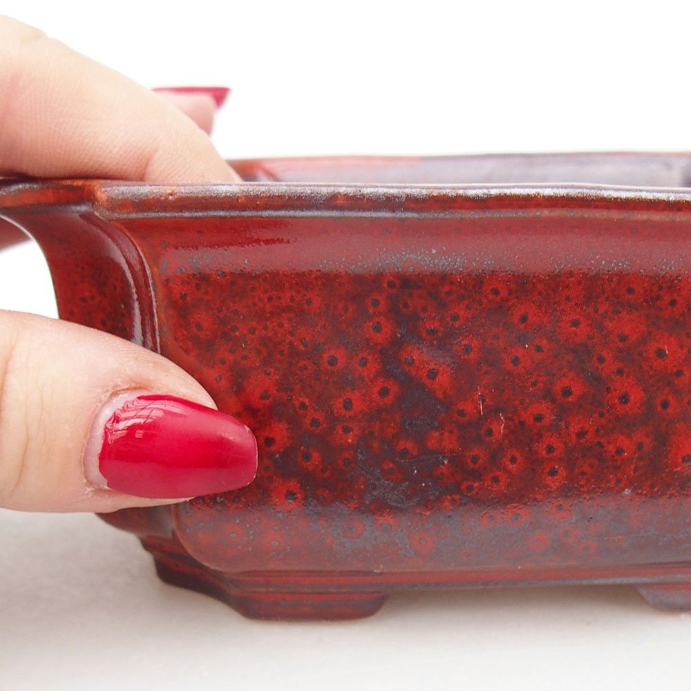 Ciotola per bonsai in ceramica 12,5 x 9 x 5,5 cm, colore rosso